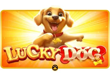 perabet Login karein aur apni lobby unlock karien